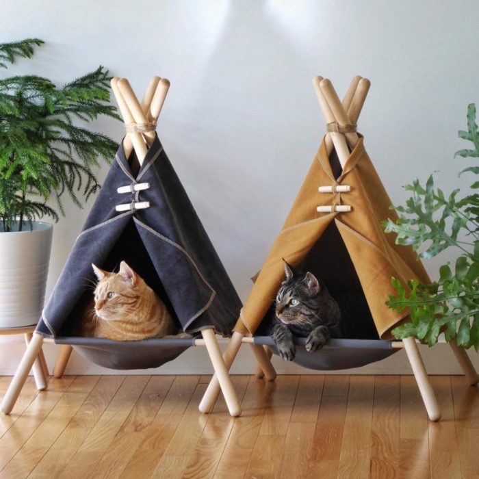 Diy cat house for strays