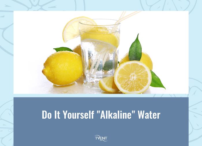 Diy alkaline water