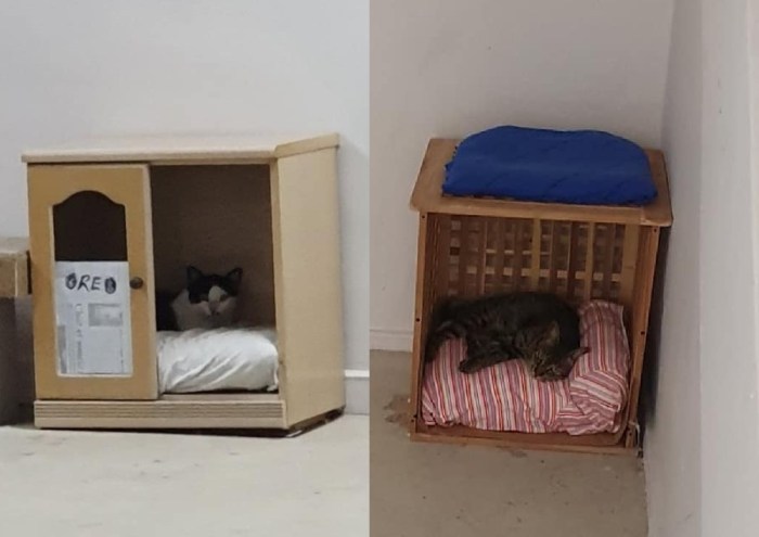 Diy cat house for strays